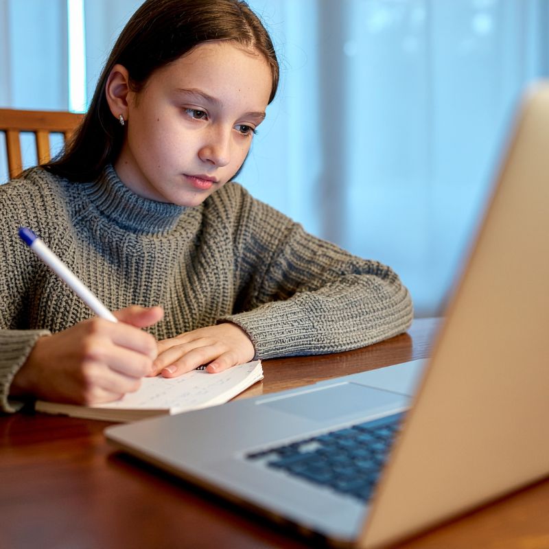 Student revising for GCSE exams