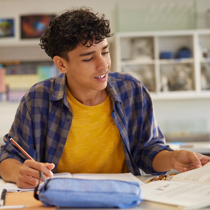 Student studying maths and science